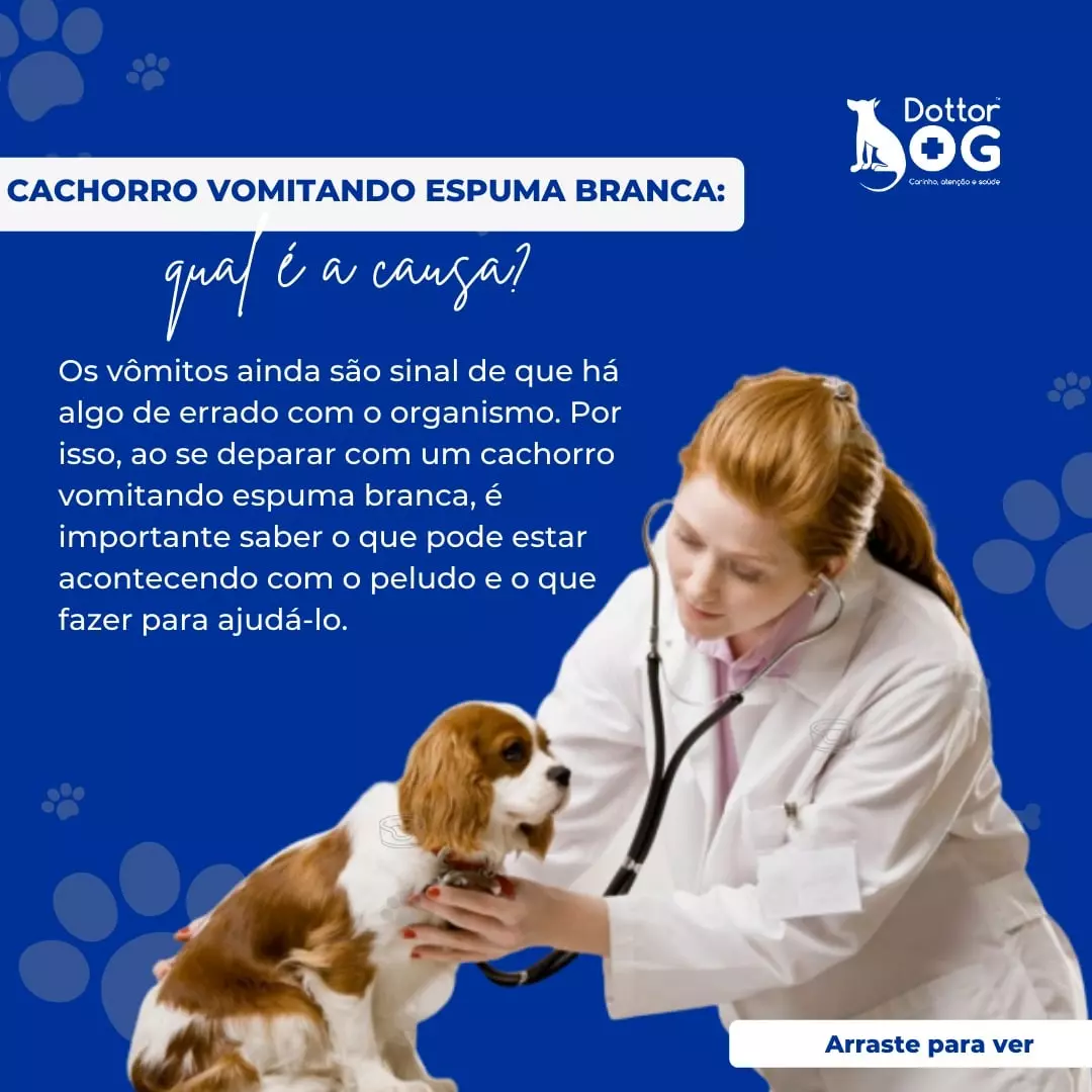 CACHORRO VOMITANDO ESPUMA BRANCA? SAIBA O QUE PODE TER...